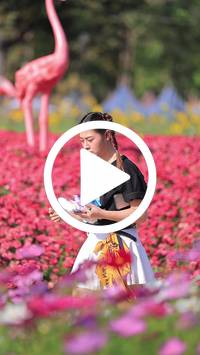 BIB:  <button type="button" onclick="openModal(27588337)" class="btn btn-primary btn-sm float-right" data-toggle="modal" data-target=".modal-high-quality">
                <i class="fa fa-download"></i> Download
                </button>